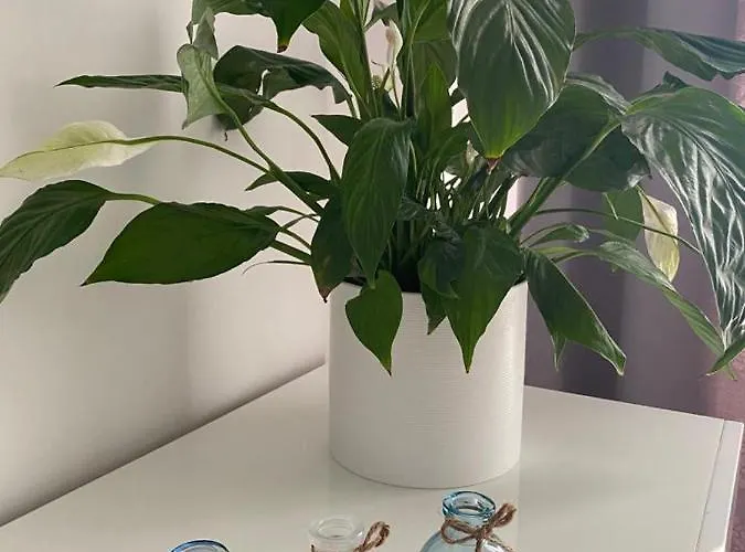 Διαμέρισμα Moon