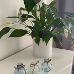 Apartament Moon