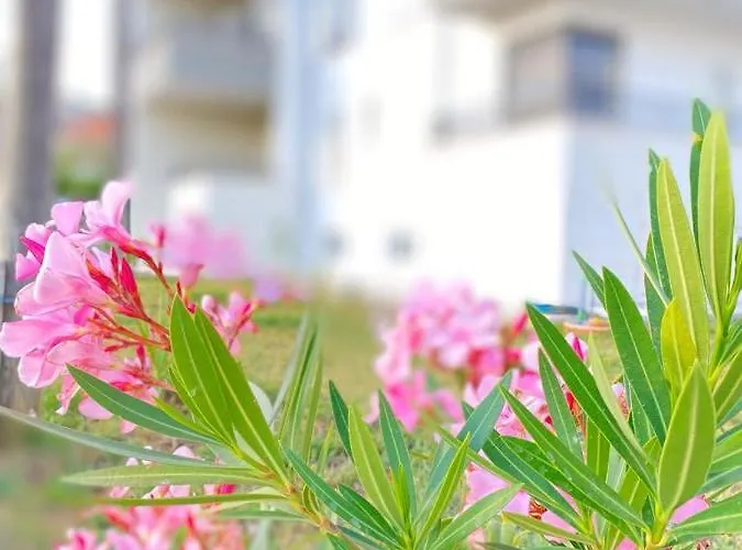 Appartement Moon Trogir